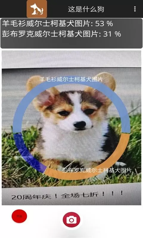 这是什么狗app安卓版图3