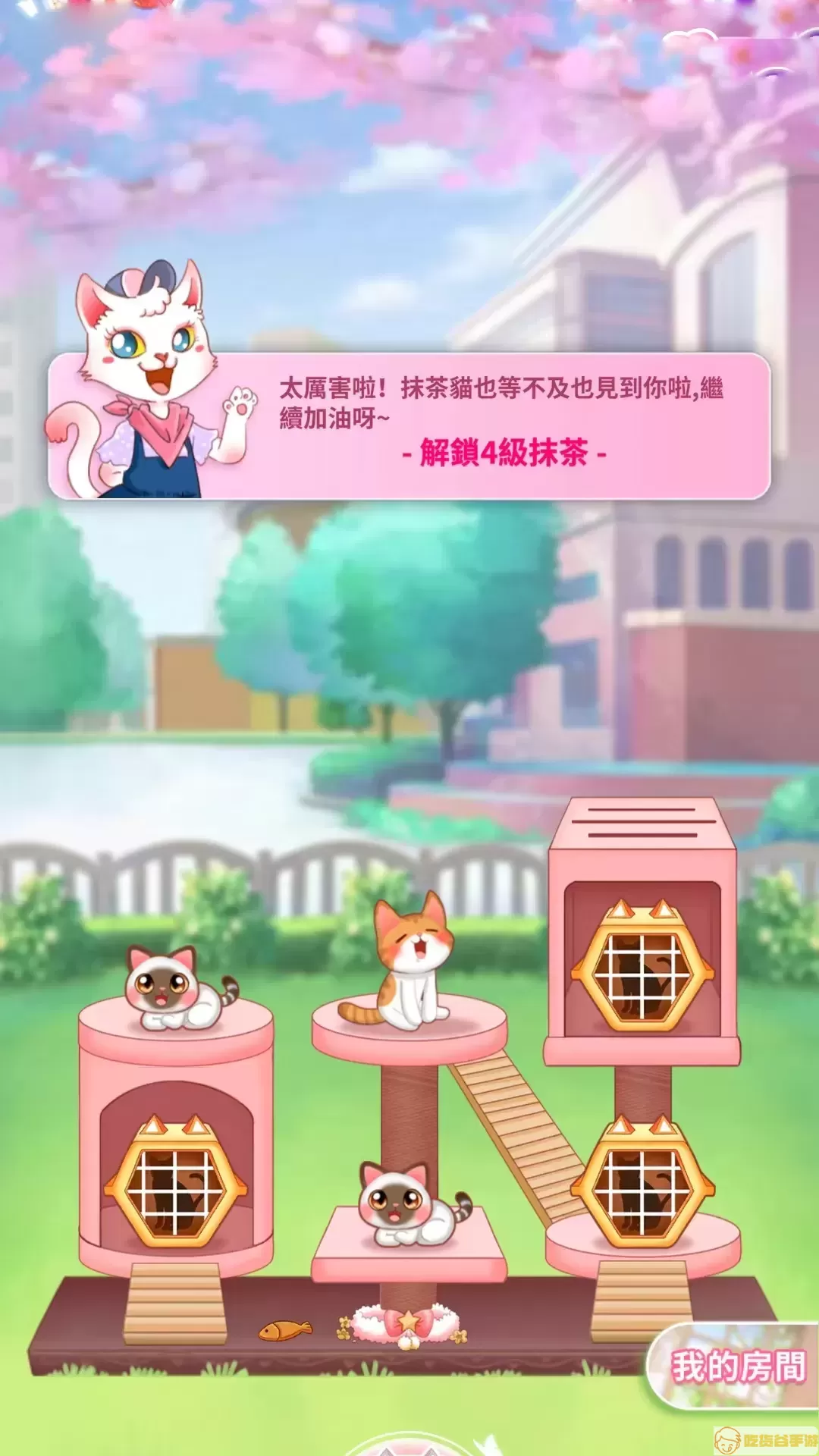 萌猫成长记下载最新版