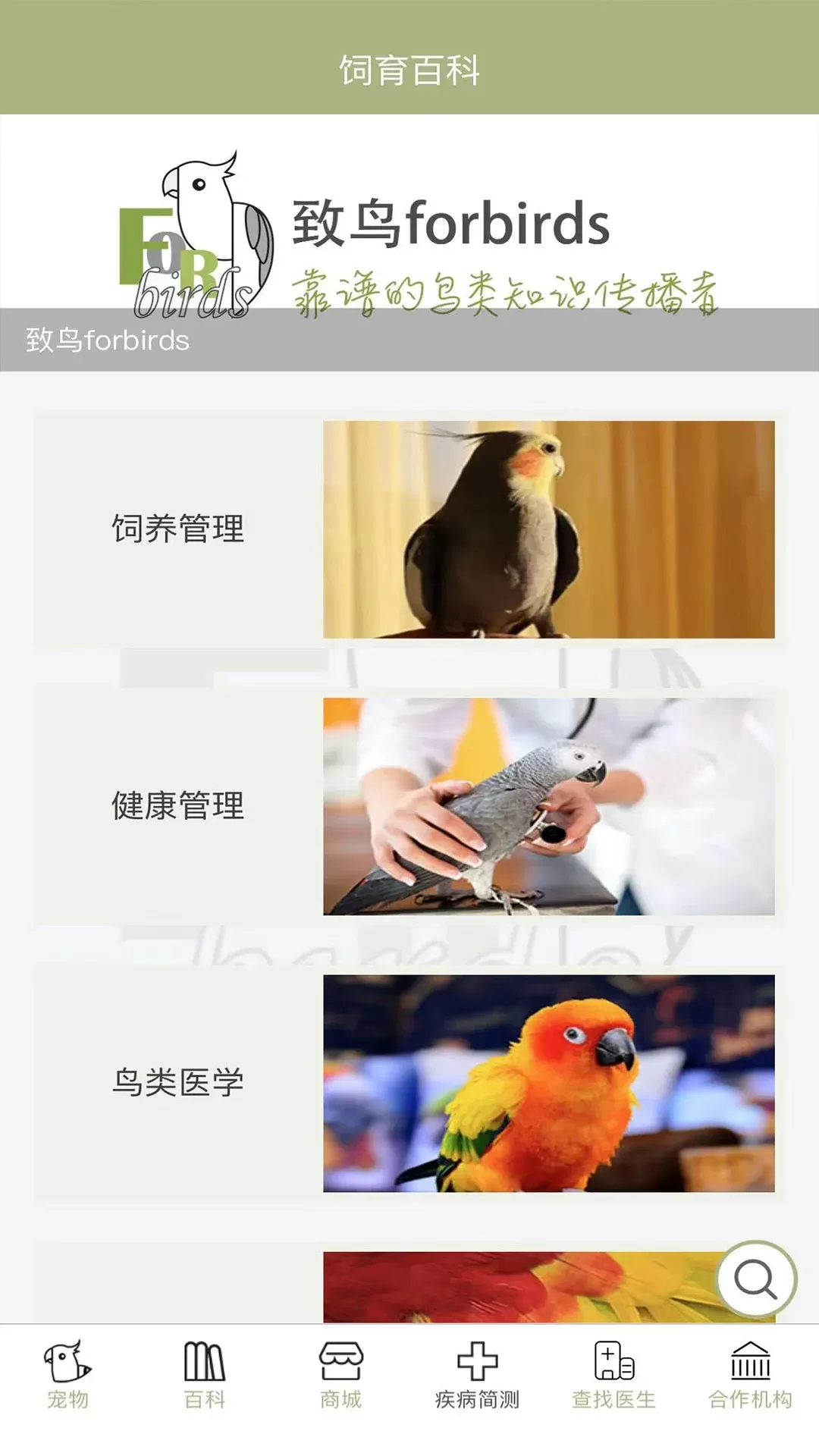 致鸟forbirds软件下载图2