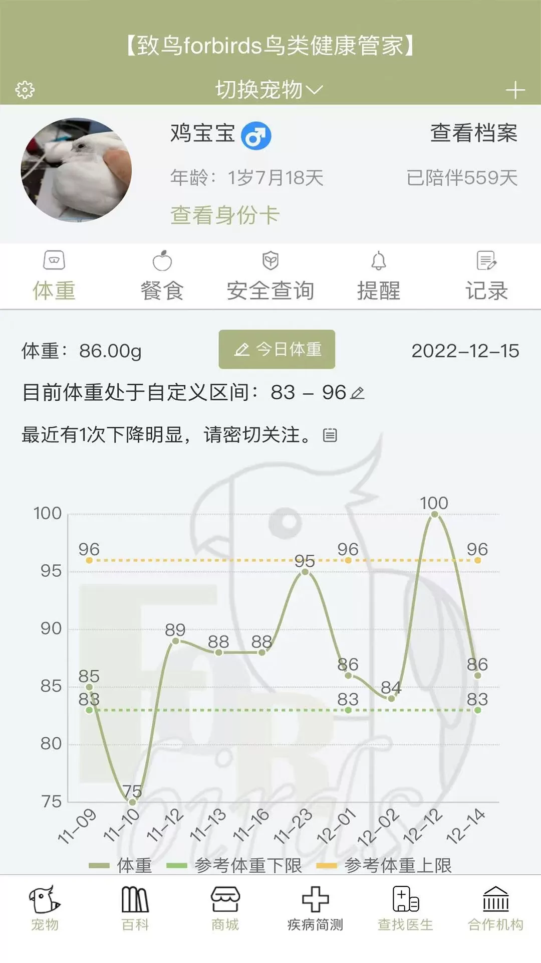 致鸟forbirds软件下载图0