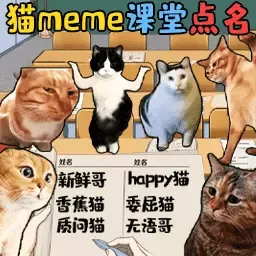 猫meme热梗官网版