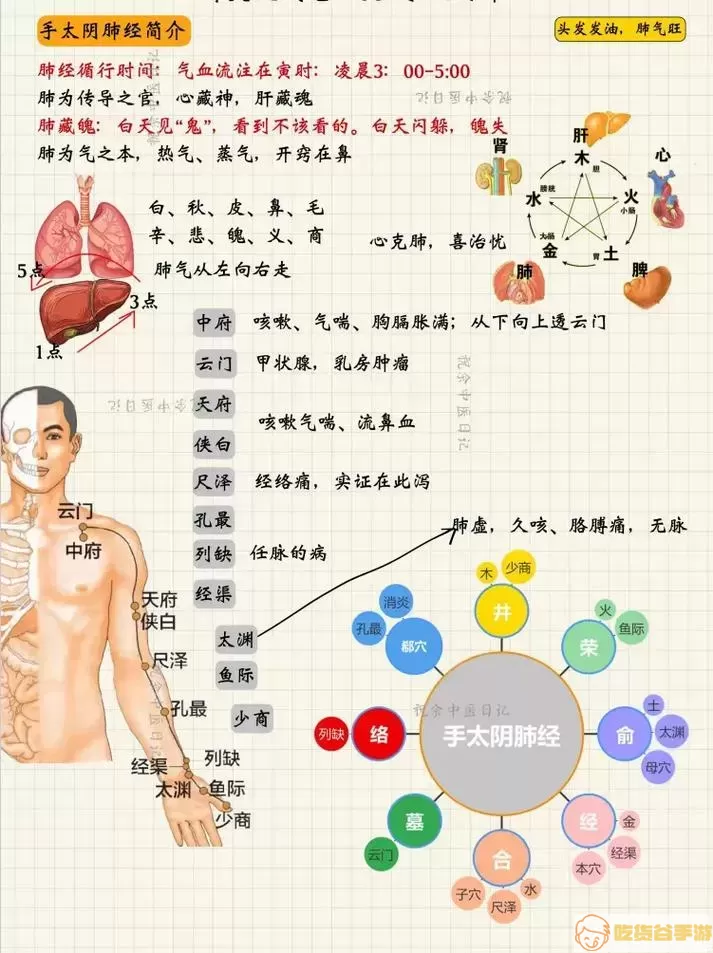 九阴真经经脉名称大全