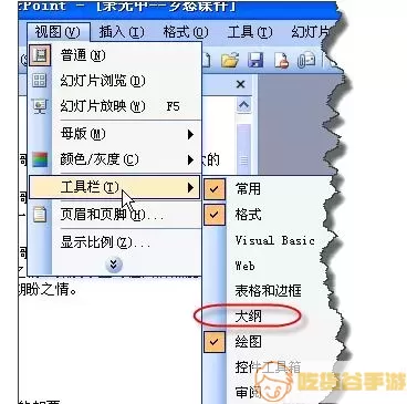 放映视图示例