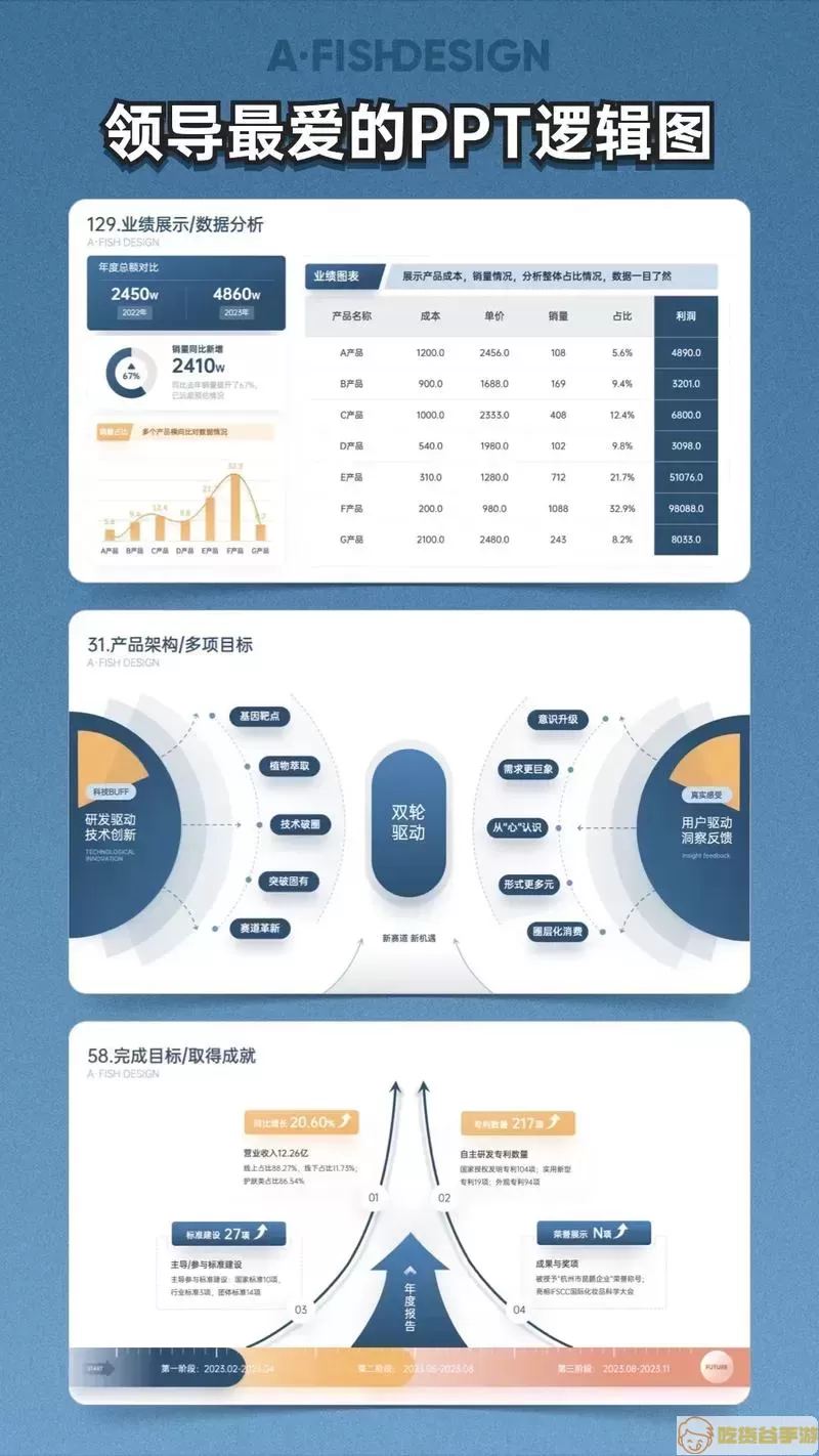 PPT收费示例