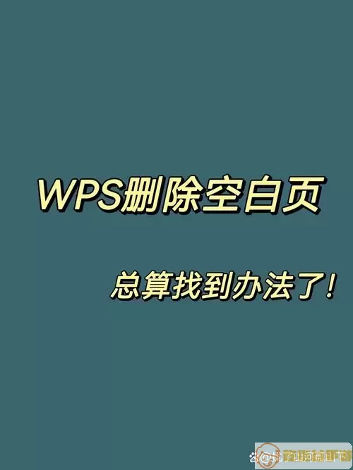 WPS页面设置示例