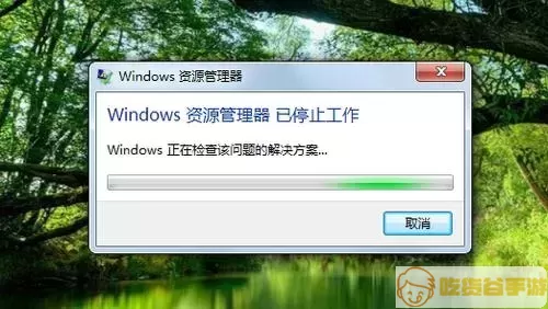 Windows